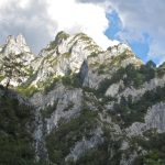Altas cumbres en los Picos de Europa