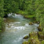 El rio Sella en Ponga