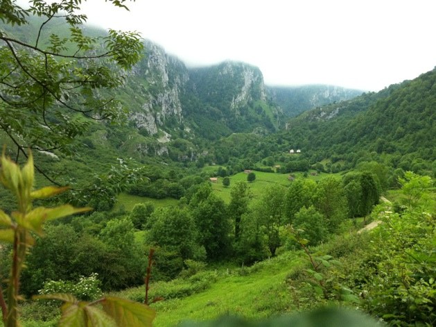 El Valle de Angón verde y con niebla